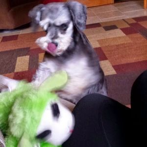 Meet your Posher, Megan